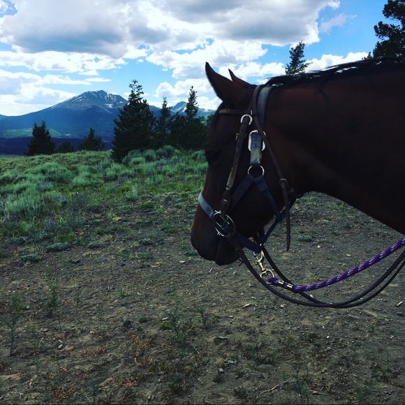 Meet your Posher, Katie Jones. - Picture 8 of 16